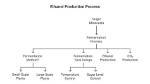 During Which Process Is Ethanol Produced?