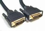 Dvi A