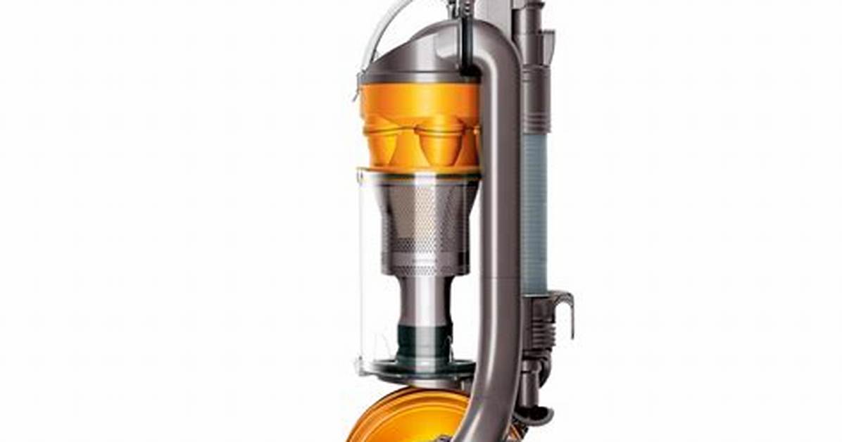 Dyson Dc24