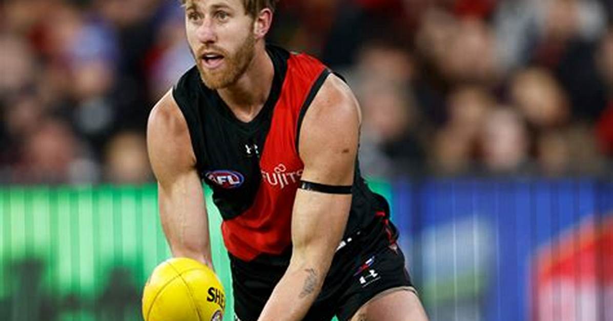 Dyson Heppell