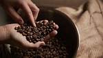 Eating Coffee Beans