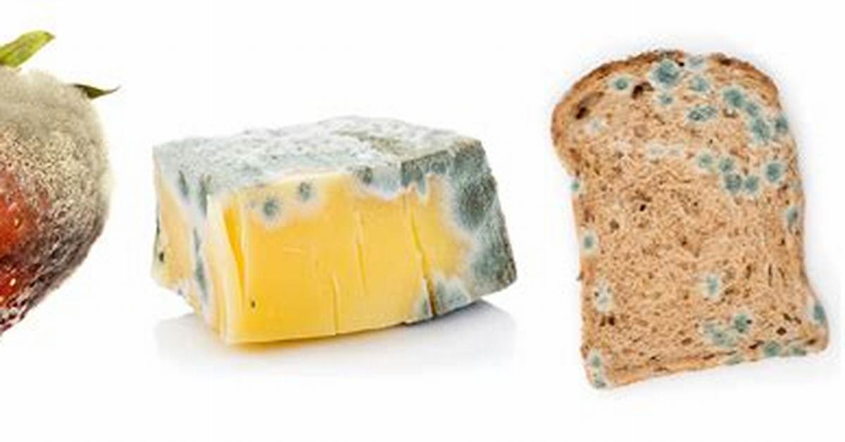 Eating Mold