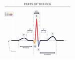 Ecg Components
