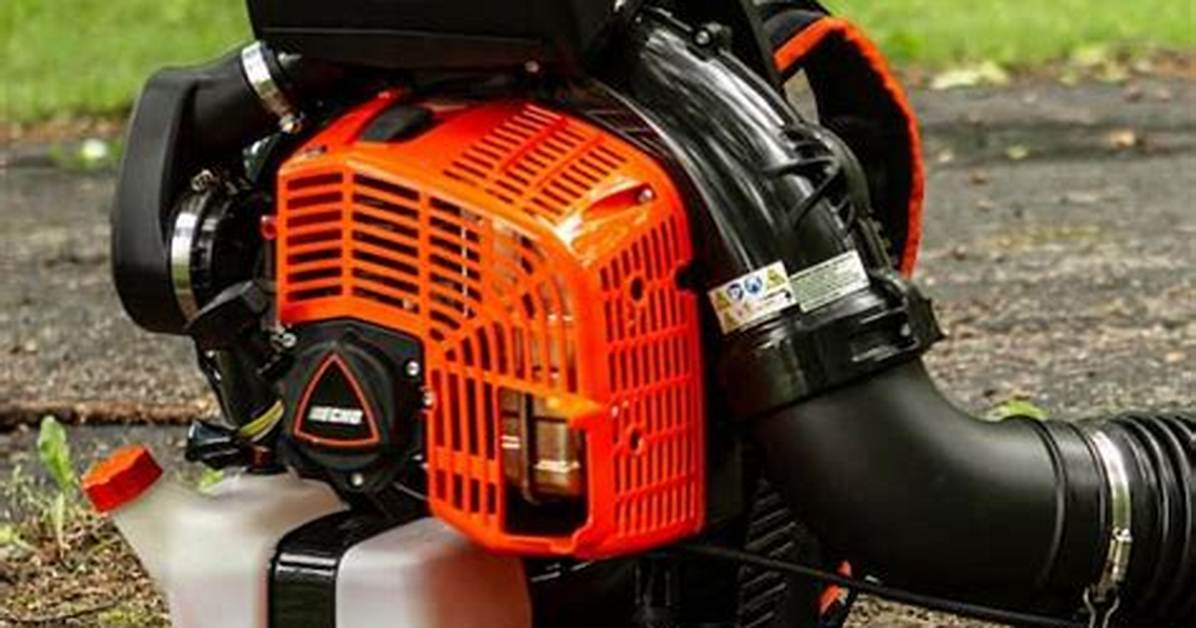 Echo Backpack Leaf Blower