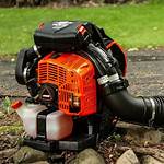 Echo Backpack Leaf Blower
