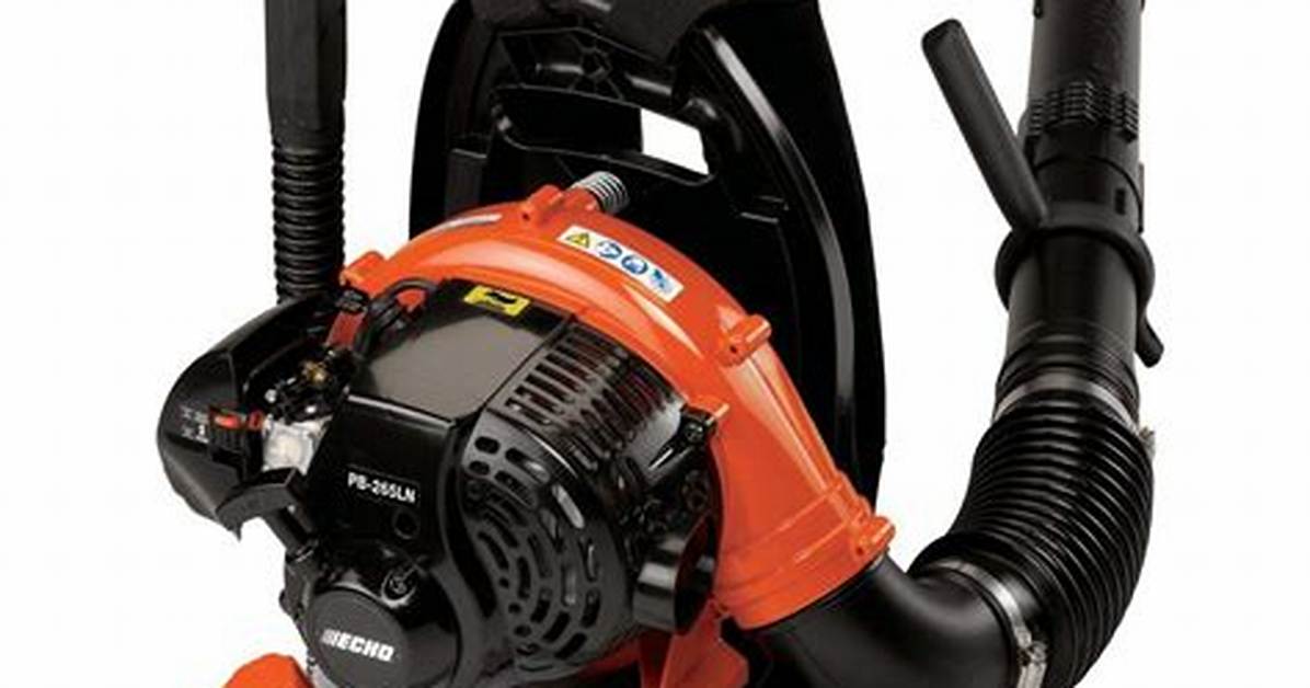 Echo Gas Blower
