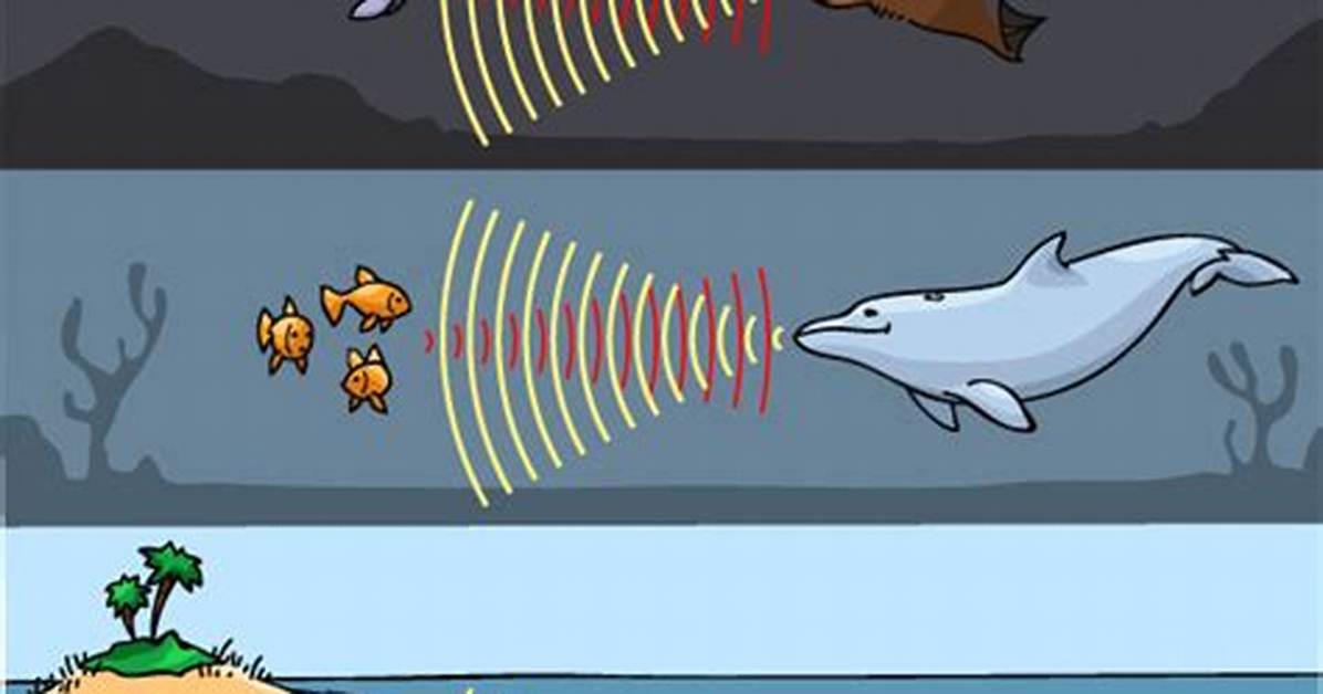 Echolocation Method