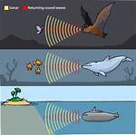 Echolocation Method