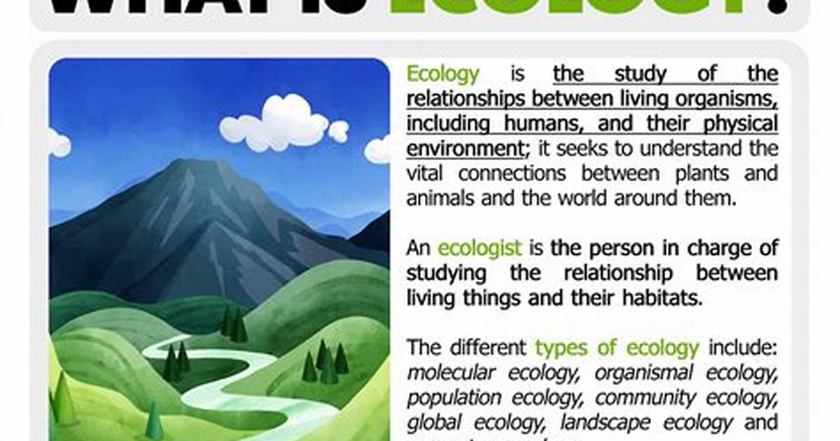 Ecologist Definition