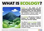 Ecologist Definition
