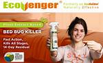 Ecoraider Bed Bug Killer