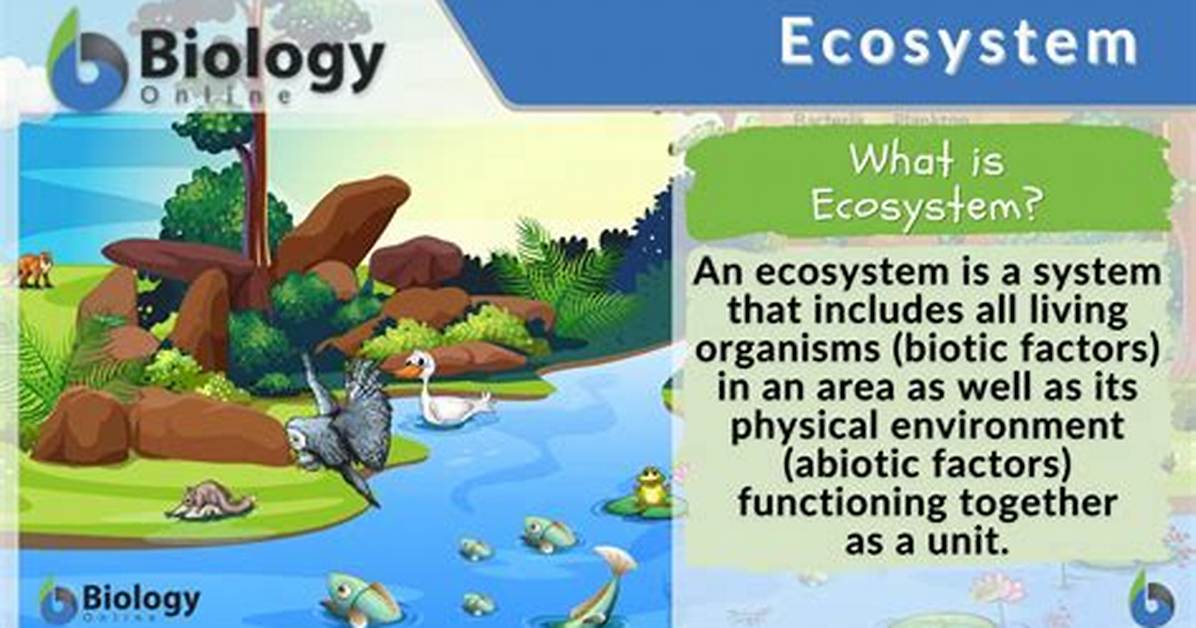 Ecosystem Synonym