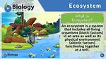 Ecosystem Synonym
