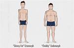 Ectomorph Skinny Fat