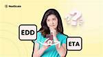 Edd Stands For