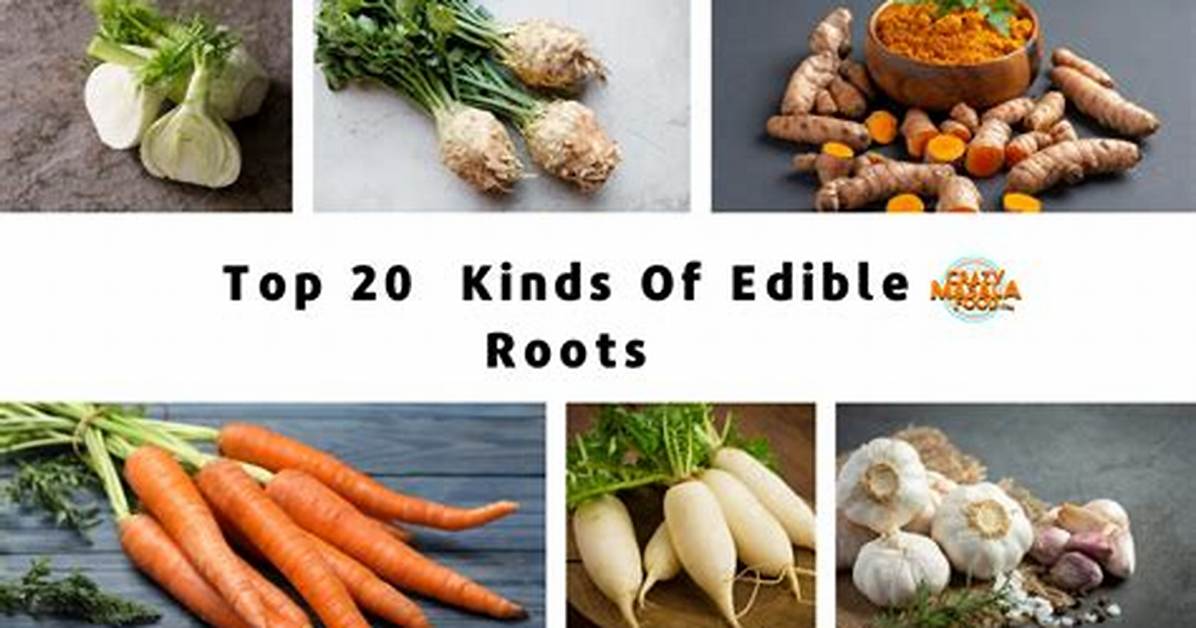 Edible Root
