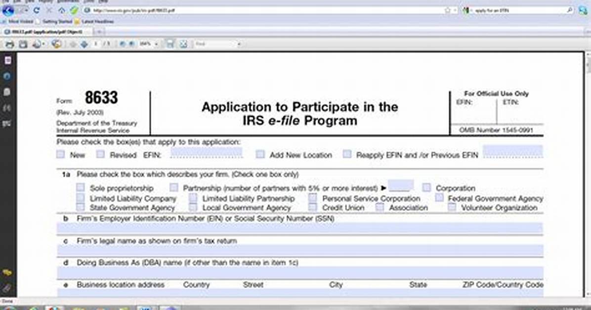 Efin Application