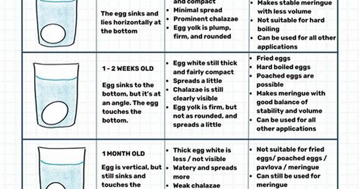 Egg Sink or Float