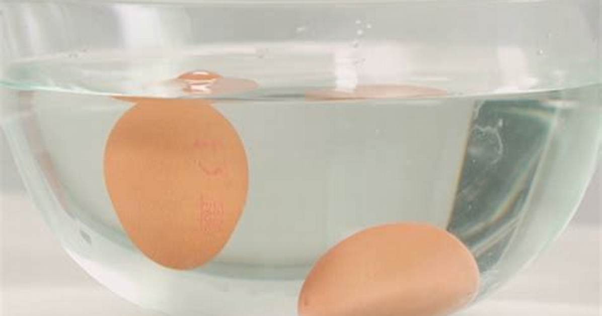 Eggs Float or Sink