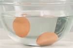 Eggs Float or Sink