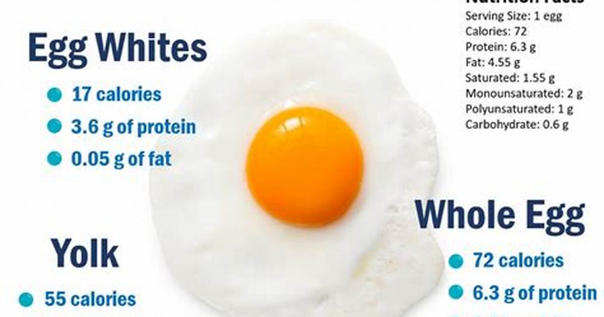Eggs Macros