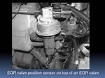 Egr Sensor