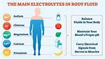 Electrolytes Meaning