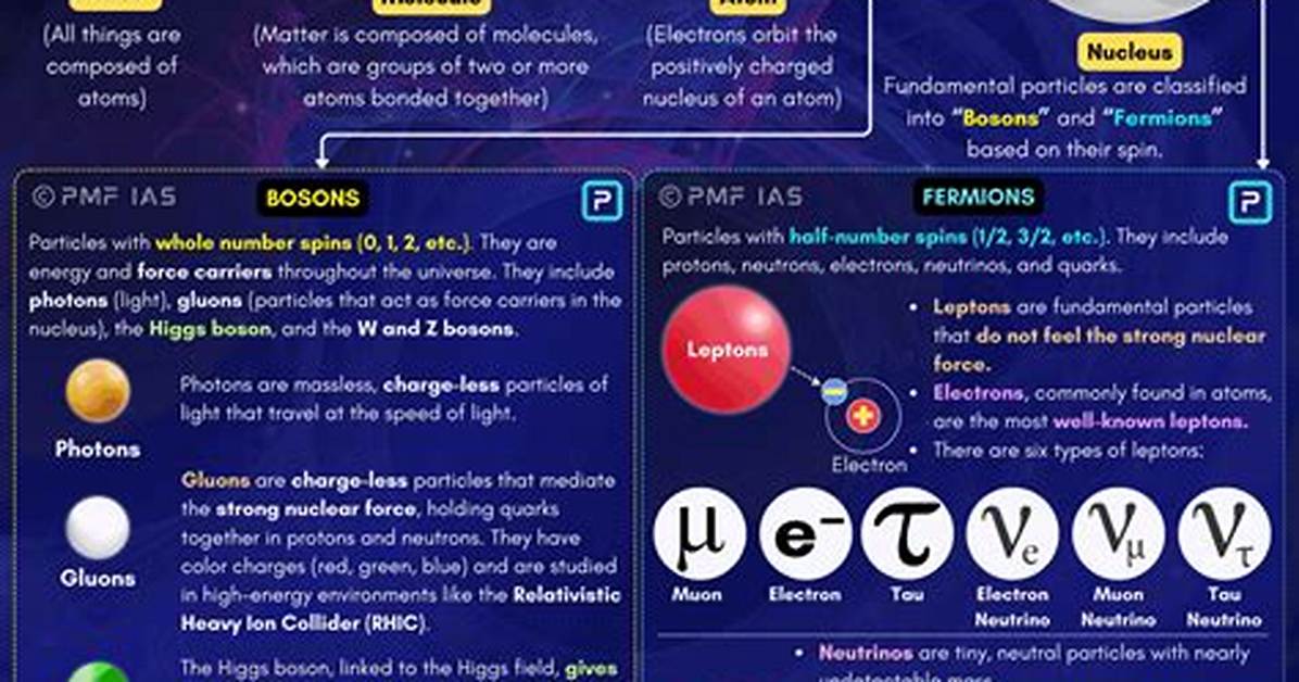 Elementary Particle