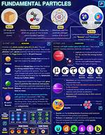 Elementary Particle