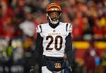 Eli Apple