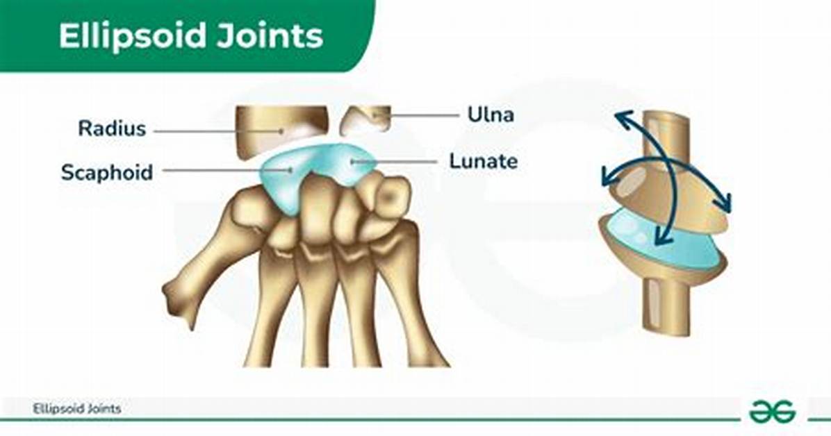 Ellipsoid Joint Examples
