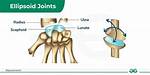 Ellipsoid Joint Examples