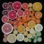 Emily Blincoe