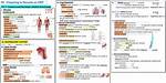 Emt Human Anatomy — Playlist