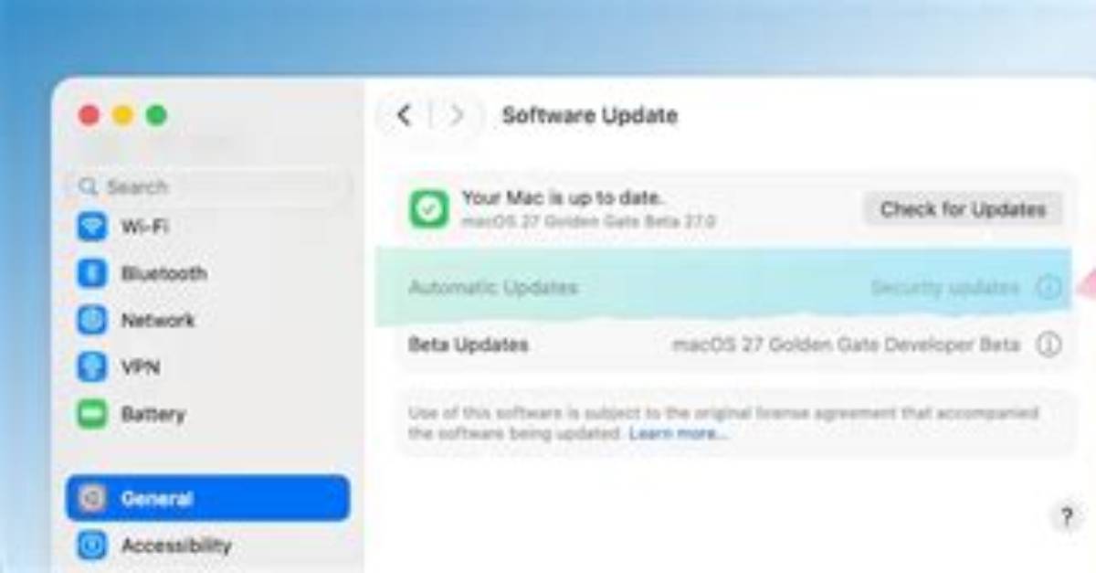 Enable Activex on Macos?