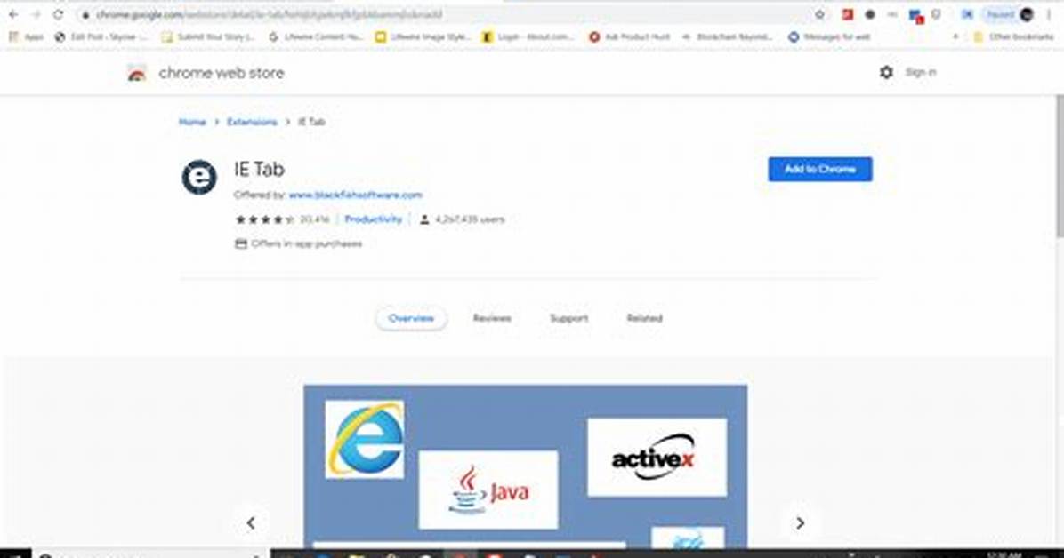 Enable Java in Chrome