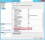 "Enable Remote Error" in Ssrs