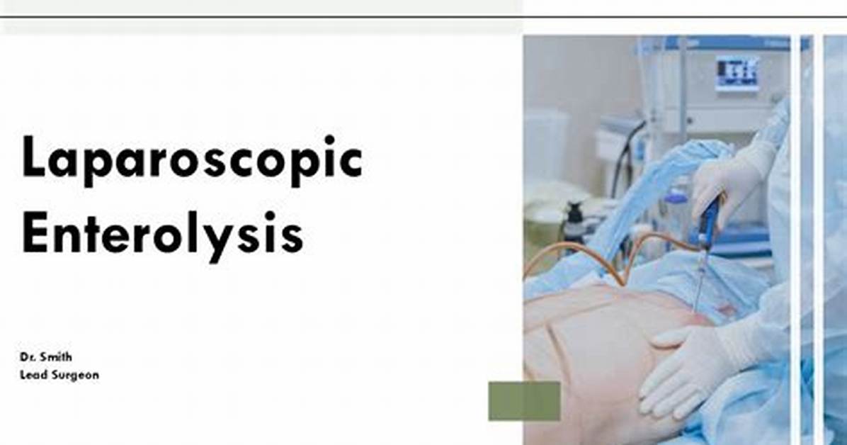 Enterolysis