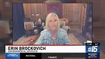Environmentalist Brockovich