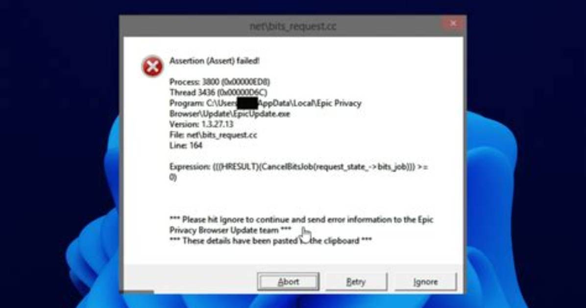 Epic Privacy Browser Assertion Failed on Windows 10/11