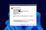 Epic Privacy Browser Assertion Failed on Windows 10/11