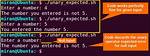 -Eq: Unary Operator Expected [Duplicate]