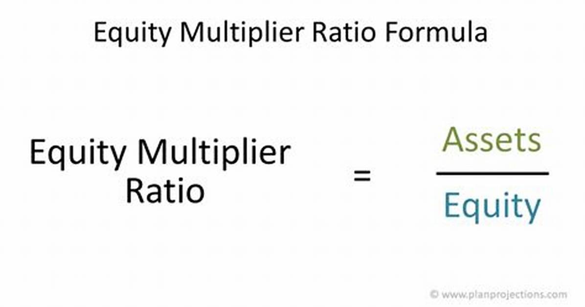 Equity Multiplier