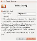 Error 255 When Sharing Folder on Ubuntu 12.04