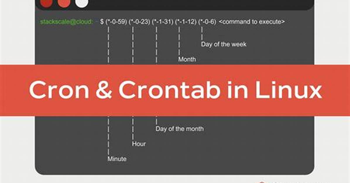 Error in Crontab