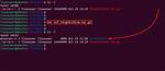 Error When `Tar` a `. Zip` on Linux