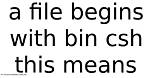 Error with Program. Csh (Bin/Csh: Bad Interpreter: No Such File or Directory)