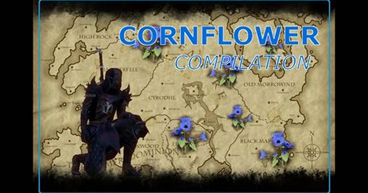 Eso Cornflower