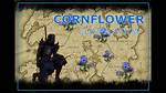 Eso Cornflower