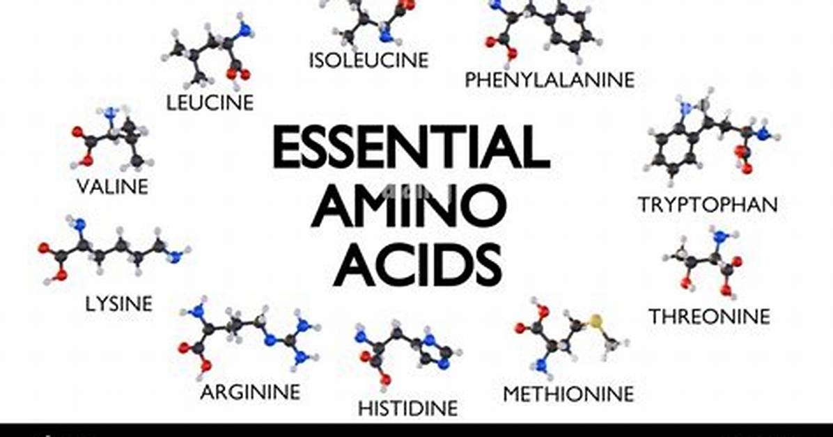 Essential ___ Acids